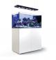 Preview: Red Sea Reefer Peninsula 500 DELUXE Meerwasseraquarium Komplettset Preview: Red Sea Reefer Peninsula 500 DELUXE Meerwasseraquarium Komplettset